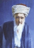الشيخ محمد بدر الدين الحسيني